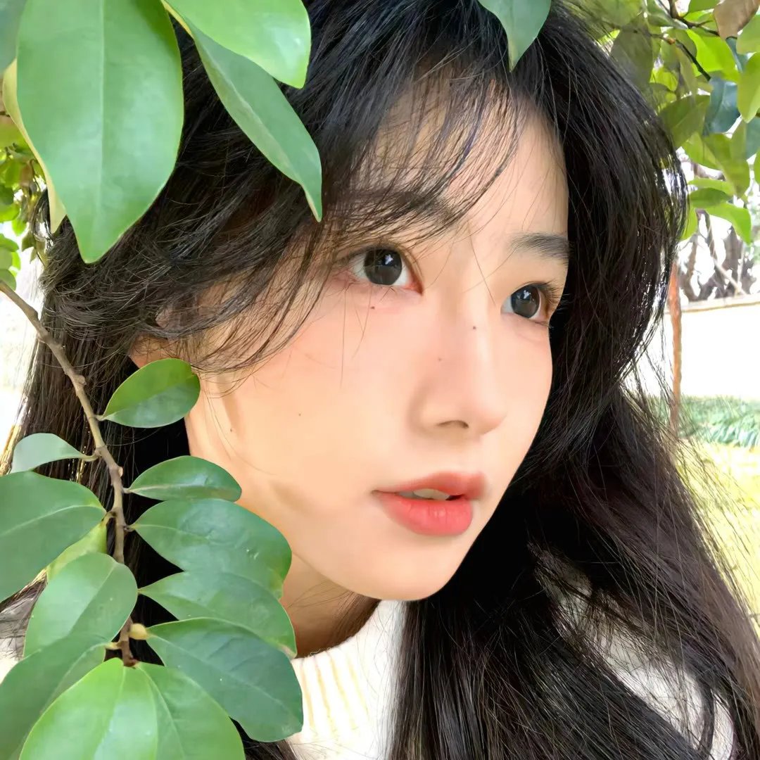 美凤有约